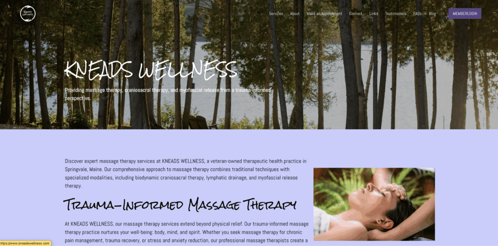 KNEADS WELLNESS website preview of homepage