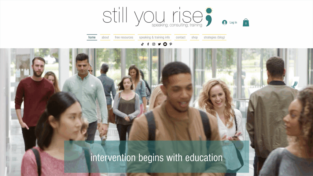 still you rise; website preview of homepage